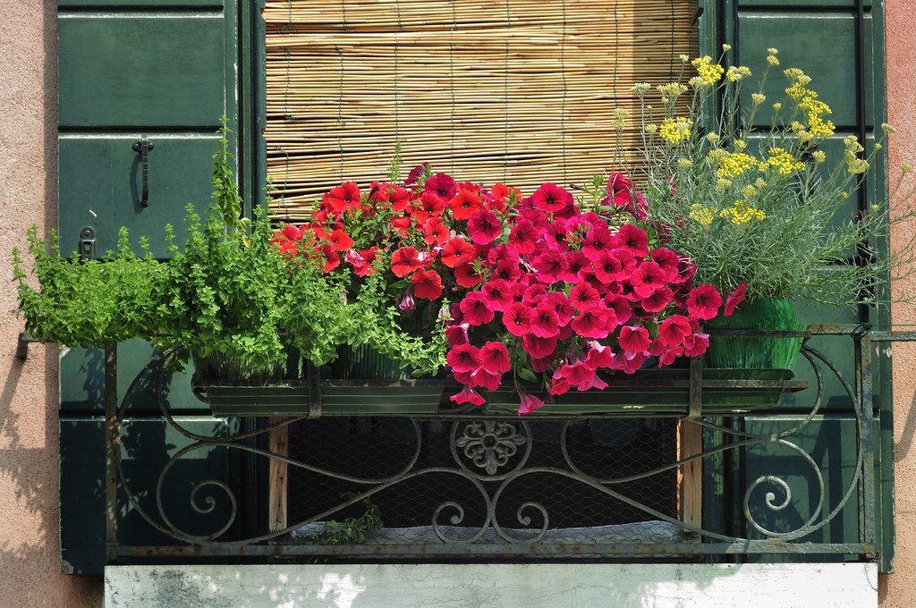 Hausfassade mit Fenster und Blumenkisten